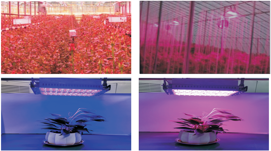 led grow light-5.png