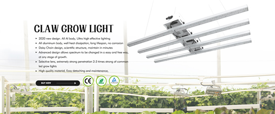 LED flood Light|LED High Bay Light|LED Tunnel Light|UFO LED High Bay light