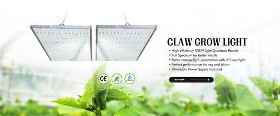 panel grow light-2.jpg